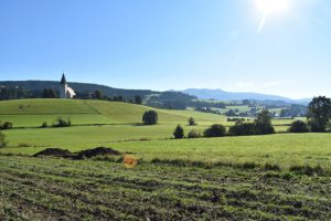 Blick auf die Pfarrkirche Mariahof