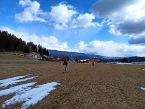 Geomagnetische Prospektion Oberdorf-Vockenberg